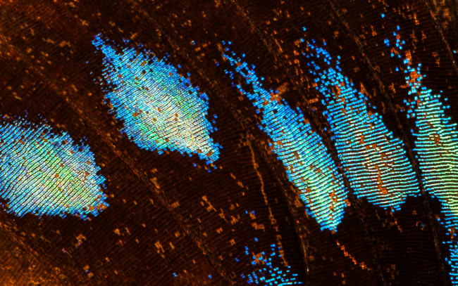 Обои картинки фото разное, текстуры