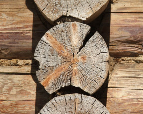 Картинка разное элементы архитектуры