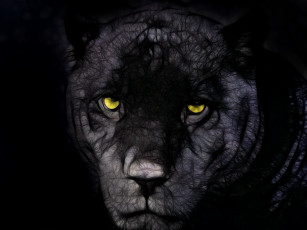 Картинка 3д графика animals животные волк