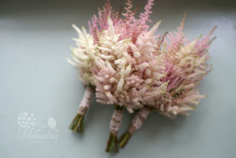 обоя цветы, астильбы, розовый