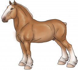 Картинка рисованные животные +лошади лошадь
