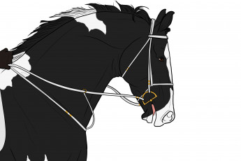 Картинка рисованные животные +лошади лошадь