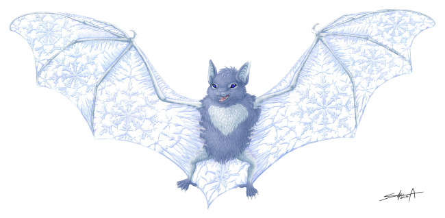 Обои картинки фото рисованные, животные,  птицы, летучая, мышь