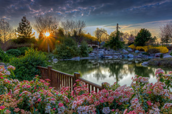 Картинка природа восходы закаты рассвет парк