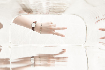 Картинка разное руки взгляд тёмный фон пара кошки коты