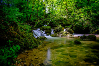 Картинка природа реки озера лес ручей