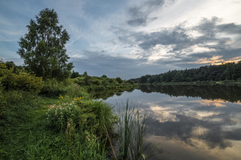 Картинка природа реки озера река лес