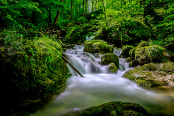 Картинка природа реки озера ручей лес