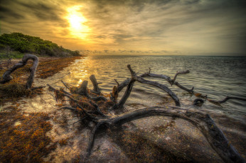 Картинка природа восходы закаты рассвет