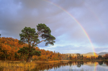 Картинка природа радуга река лес
