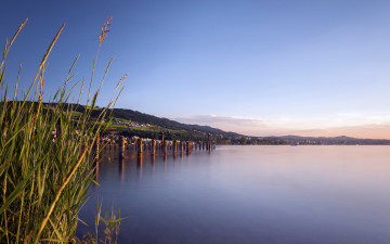 Картинка природа реки озера камыши озеро холм ограждение