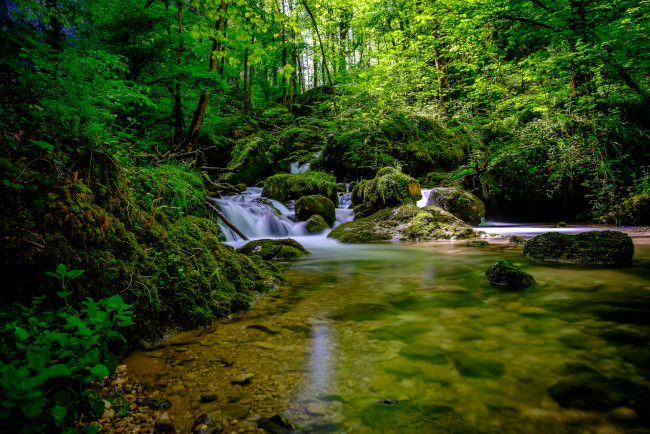 Обои картинки фото природа, реки, озера, лес, ручей