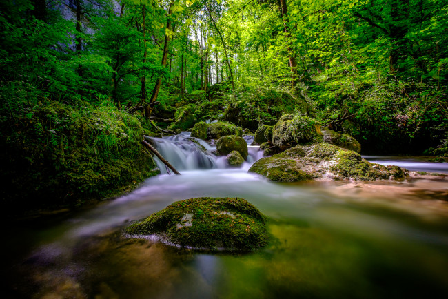 Обои картинки фото природа, реки, озера, ручей, лес