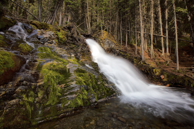Обои картинки фото природа, водопады, лес, река, водопад