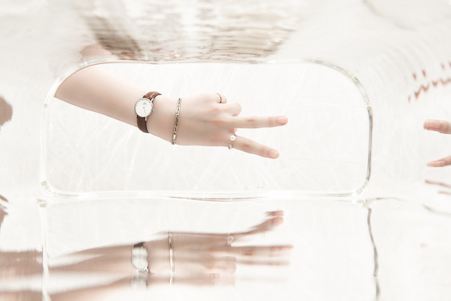 Обои картинки фото разное, руки, взгляд, тёмный, фон, пара, кошки, коты