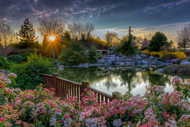 Обои картинки фото природа, восходы, закаты, рассвет, парк