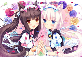 Картинка аниме nekopara фон взгляд девушки