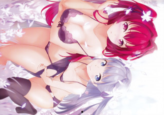 Картинка аниме shinmai+maou+no+testament девушки