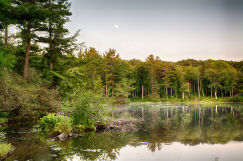 Картинка природа реки озера река лес