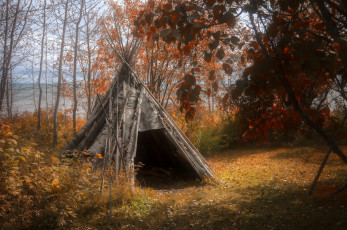 Картинка природа лес осень вигвам