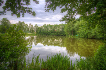 Картинка природа реки озера озеро деревья