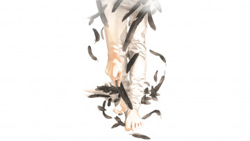 Картинка аниме unknown +другое перья ноги