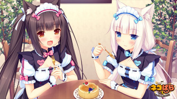 Картинка nekopara аниме взгляд девушки фон