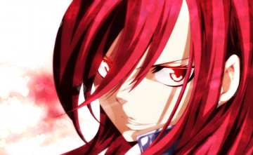 Картинка аниме fairy+tail хвост феи fairy tail