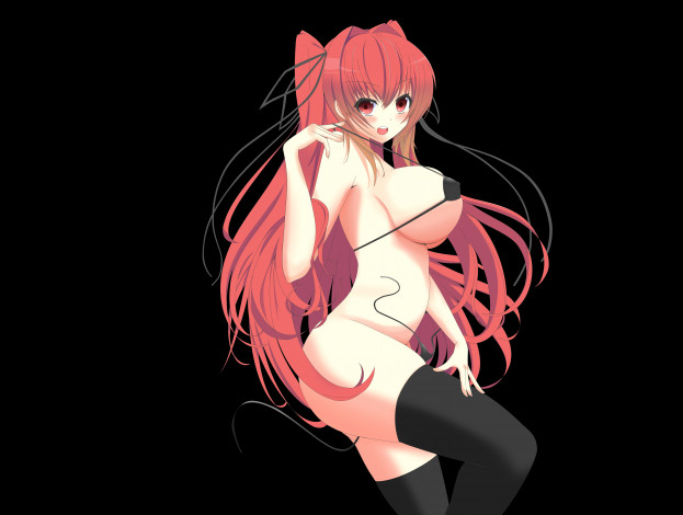 Обои картинки фото аниме, shinmai maou no testament, мио