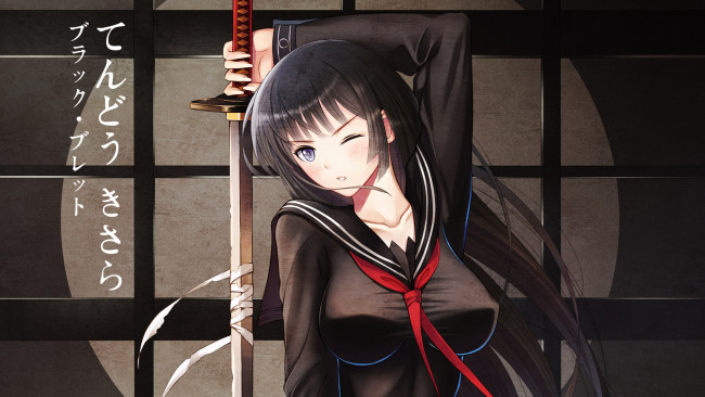 Обои картинки фото аниме, black bullet, чёрная, пуля