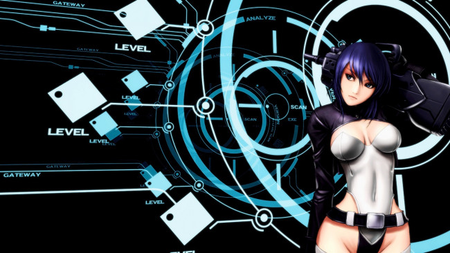 Обои картинки фото аниме, ghost in the shell, девушка, мотоко, кусанаги