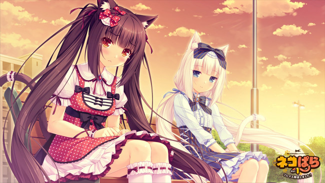Обои картинки фото аниме, nekopara, взгляд, девушки, фон