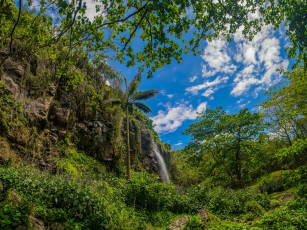 Картинка франция природа водопады облака деревья гора пальма