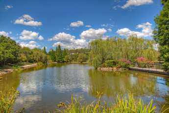 Картинка австралия природа парк цветы мост водоем облака деревья растения