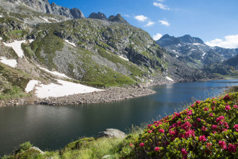 Картинка франция природа реки озера камни снег цветы трава водоем облака