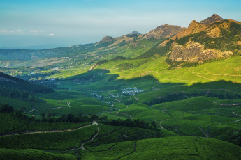 Картинка индия природа поля деревья растения горы