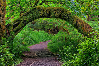 Картинка природа дороги простор