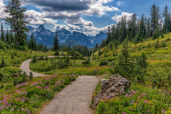 Картинка природа дороги простор