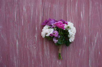 Картинка цветы розы blossoms leaves petals bud rose цветение листья лепестки бутон роза