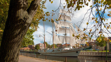 Картинка корабли парусники деревья здания фонари набережная водоем