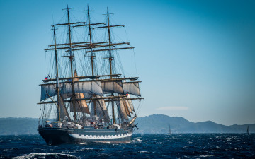 Картинка корабли парусники деревья побережье водоем