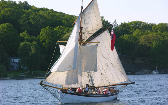 Обои картинки фото корабли, парусники, водоем, флаг, деревья, постройки