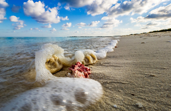 Обои картинки фото канада, природа, побережье, пена, песок, водоем, облака