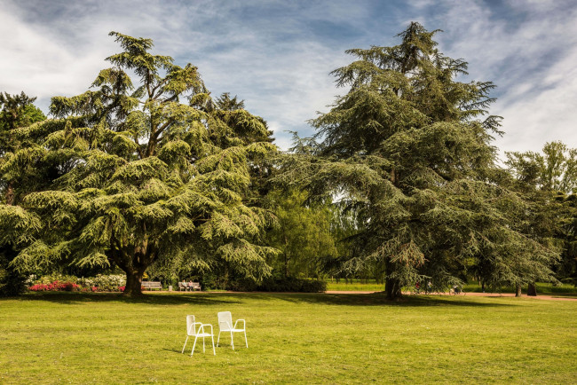 Обои картинки фото германия, природа, парк, деревья, трава, скамейки, цветы, растения, стулья