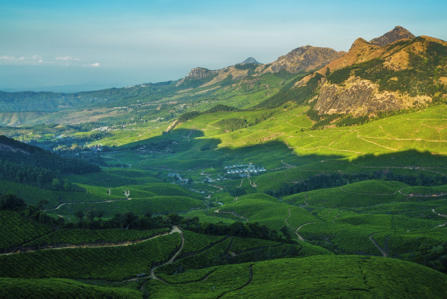 Обои картинки фото индия, природа, поля, деревья, растения, горы