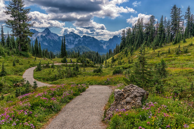 Обои картинки фото природа, дороги, простор