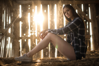 Картинка девушка девушки -unsort+ брюнетки темноволосые модель