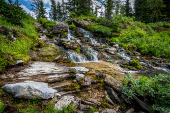 Картинка природа реки озера простор