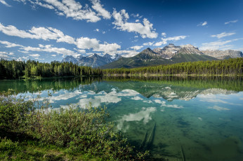 Картинка природа реки озера простор