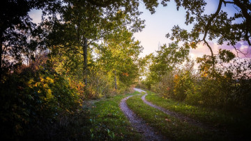 Картинка природа дороги дорога деревья